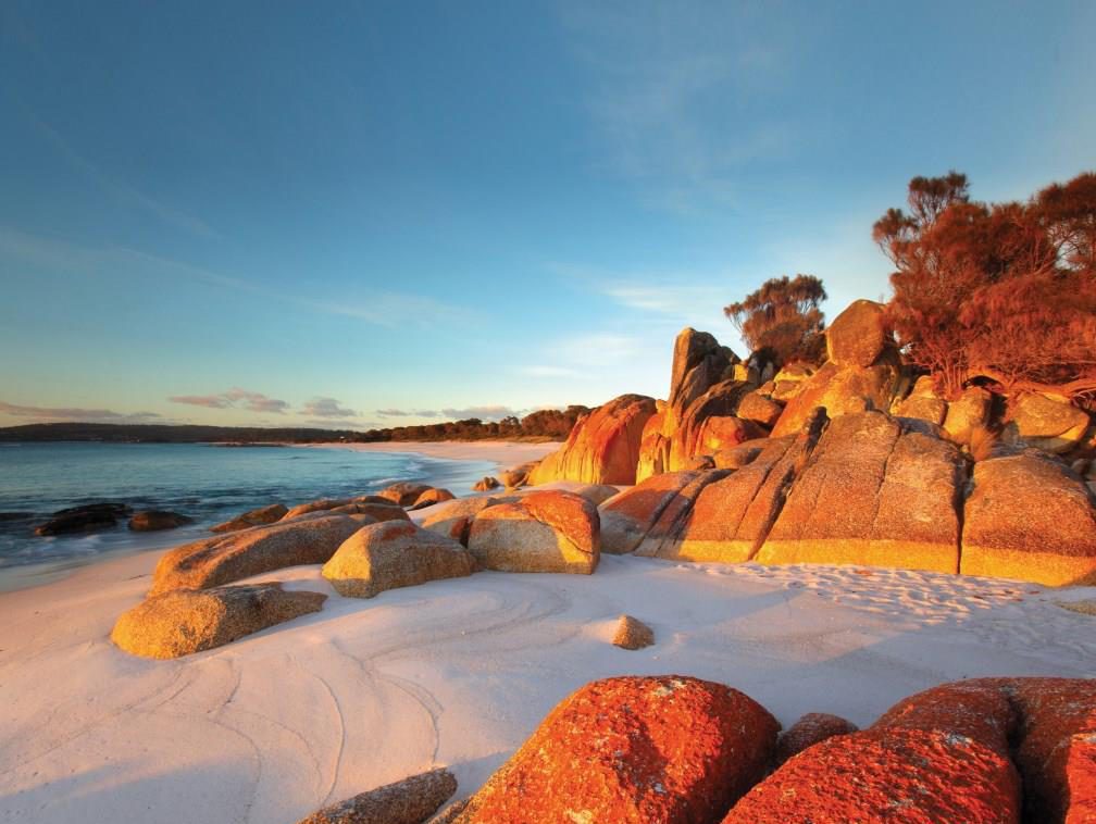 Welcome To Your Leading Provider Of Holiday Packages In Tasmania.